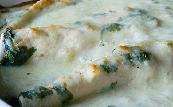 Spicy Chicken Enchiladas