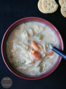 Chicken-Noodle-Soup2