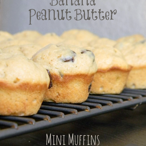 Chocolate Chip Banana Peanut Butter Mini Muffins | MomsTestKitchen.com | #SecretRecipeClub