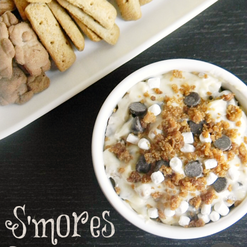 S'mores Dip | MomsTestKitchen.com