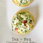 Tex-Mex Chicken Salad Bites | MomsTestKitchen.com | #AppetizerWeek