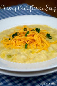 A white bowl filled with soup topped with shredded cheddar cheese and green onions sitting on a blue and white checkered placemat