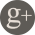 g+