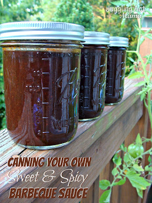 Canning Your Own Sweet and Spicy Barbeque Sauce from Juggling Act Mama