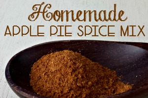 Apple Pie Spice Mix